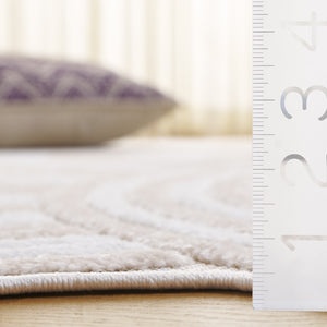 Safavieh Contour Elegant Area Rug - Modern Medium Rectangle Design For Chic Home Décor & Comfort Ivory ,Beige Polypropylene Ctr104a-5