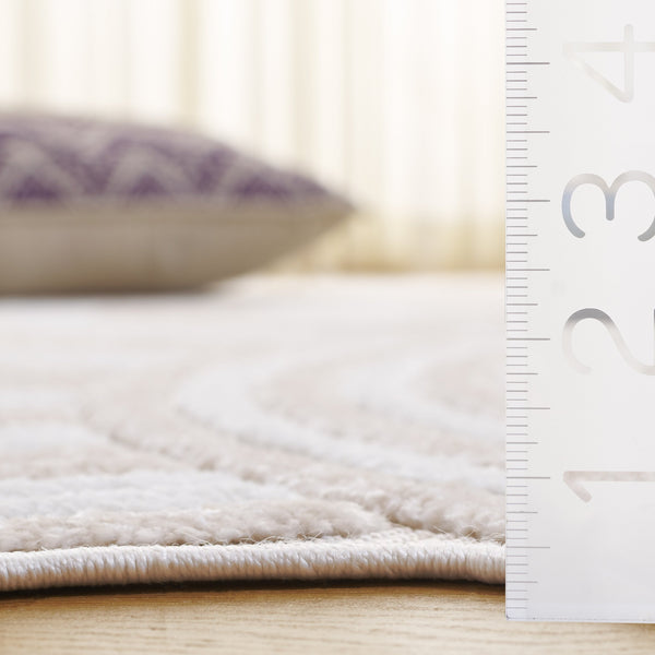 Safavieh Contour Elegant Area Rug - Modern Medium Rectangle Design For Chic Home Décor & Comfort Ivory ,Beige Polypropylene Ctr104a-5