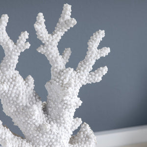 Natural Coral Statue CVDEP727 Crestview Collection