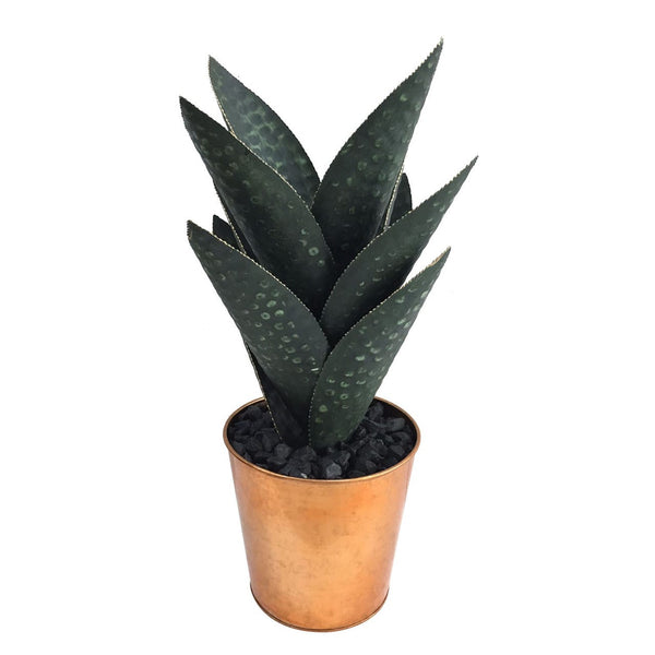 Oasis Hand Finished Cactus CVDZEN027M Crestview Collection