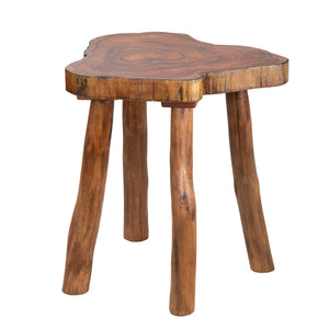 Woodland End Table CVFDR1002 Crestview Collection