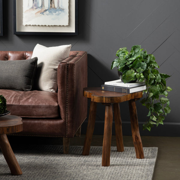 Woodland End Table CVFDR1002 Crestview Collection