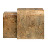 Richmond Mappa Burl Nested Tables CVFDR1036 Crestview Collection