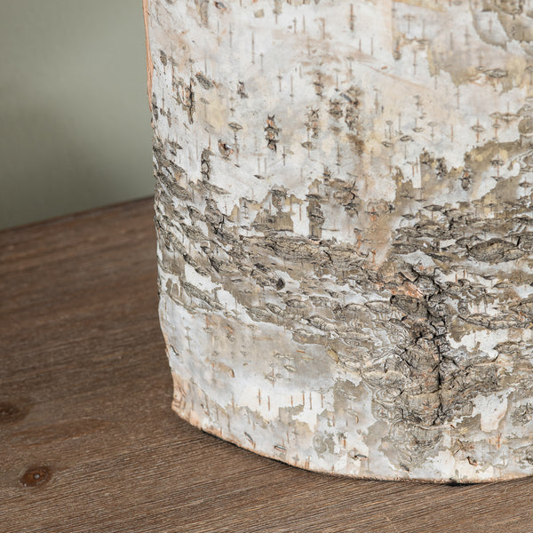 Birch Wood Table Lamp CVLY1913 Crestview Collection