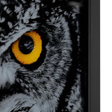 Hoot Wall Art CVTOP2964 Crestview Collection