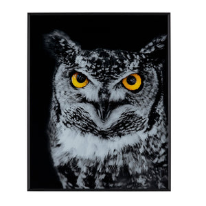 Hoot Wall Art CVTOP2964 Crestview Collection