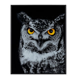 Hoot Wall Art