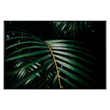 Safari Leaves 2 Wall Art CVTOP3266 Crestview Collection