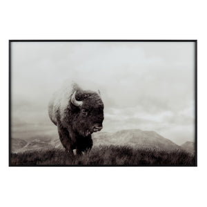 Bison Life Wall Art CVTOP3315 Crestview Collection