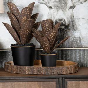 Ponderosa Tray CVTZRN015 Crestview Collection