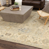 Cabrillo Cantabria Silver Area Rug R1230 910 096120 IP Karastan Rugs Mohawk