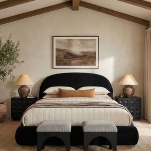 Meridian Furniture Celine Sculptural Curved Queen Bed Fully Upholstered Velvet Frame for Glam Bedrooms Black CelineBlack-Q