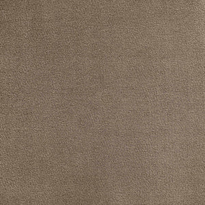 Meridian Furniture Celine Sculptural Velvet Twin Bed Curved Upholstered Headboard for Modern Glam Bedrooms Taupe CelineTaupe-T