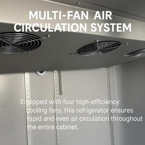 English Elm 71 Inch Stainless Steel Reach in Refrigerator 49 Cu Ft Fan Cooled Commercial Unit D858098811