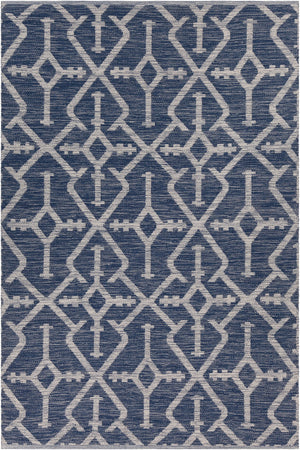 Chandra Rugs Hand-woven Eco-friendly Contemporary Rug - Unique Patterns In 100% Recycled Polyester For Home Décor Navy Blue,Beige Recycled Polyester Dan50901-576