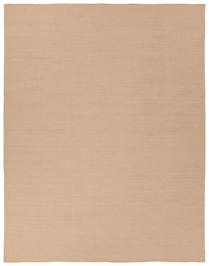 Jaipur Living Jaipur Living Cordova Handwoven Recycled Pet Tan Rug for Patios and Rooms RUG157219