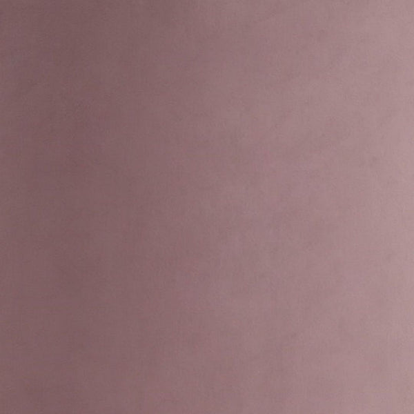 Aura Dining Chair in Blush and Polished Brass DC026-BH Manhattan Comfort