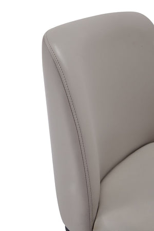 Manhattan Comfort Serena Modern Dining Chair Light Grey DC056-LG