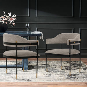 Manhattan Comfort Lia Modern Dining Armchair Stone DC074-ST