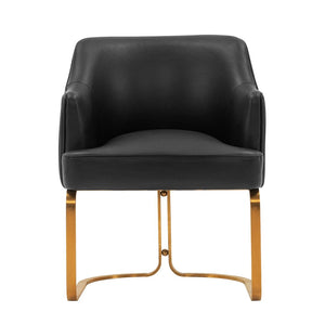 Manhattan Comfort Edra Modern Dining Armchair Black DC078-BK