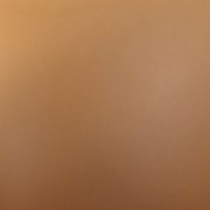 Reeva Dining Chair in Walnut and Camal  DC082-CL Manhattan Comfort