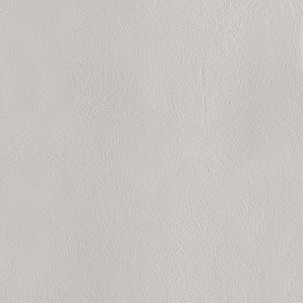 Augusta Dining Chair in Light Grey DC094-LG Manhattan Comfort