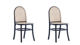 Paragon 2.0 Industry Chic Dining Chair - Set of 2