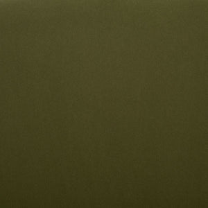 Safavieh Coralia Dining Chair Olive / Natural Rubberwood / Rattan DCH1101A-SET2