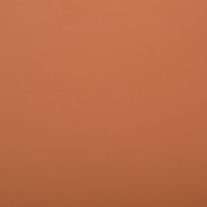 Safavieh LAYNE Dining Chair - Modern Minimalist Design with Sustainable Materials for Stylish Dining Spaces Cognac / Black DCH3003D-SET2