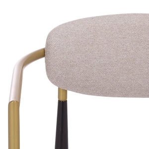 Safavieh COVELLE Dining Arm Chair - Elegant Dove Grey Upholstery with Luxe Black & Gold Accents for Dining Rooms DCH6401A-SET2
