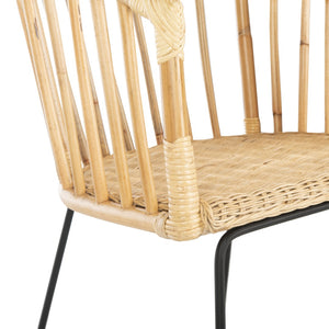 Safavieh Siena Coastal Rattan Barrel Dining Chair - Stylish Mid-Century Accent With Black Hairpin Legs DCH6501A