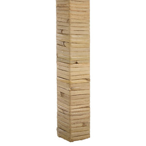 Safavieh Tojo Cane Dining Chair W/ Cushion DCH6502B-SET2