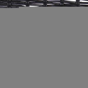 Safavieh Minerva Weaved Dining Chair - Chic Light Natural Design With Sturdy Black Metal Frame For Elegance Black ,Black Metal & Rattan Dch6508c-set2