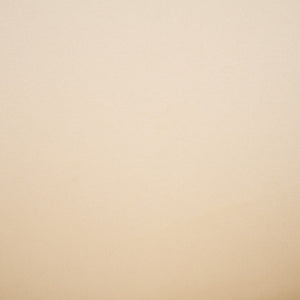 Safavieh Aminah Upholstered Dining Chair Ivory / Walnut DCH7501A