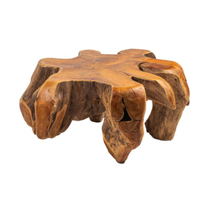 Rowena Interiors Teak Root Reclaimed Wood Round Coffee Table Sculptural Living Room Statement Piece DF4855