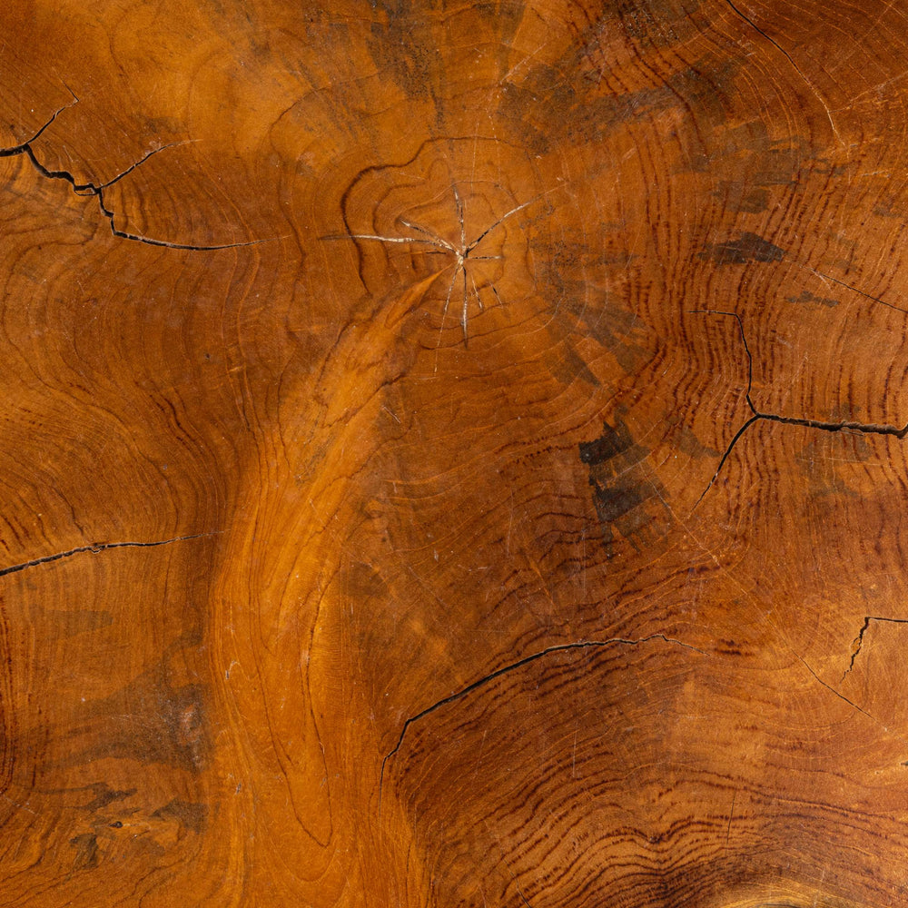 Rowena Interiors Teak Root Reclaimed Wood Round Coffee Table Sculptural Living Room Statement Piece DF4855