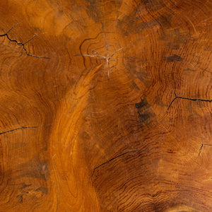Rowena Interiors Teak Root Reclaimed Wood Round Coffee Table Sculptural Living Room Statement Piece DF4855