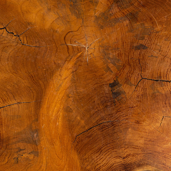 Rowena Interiors Teak Root Reclaimed Wood Round Coffee Table Sculptural Living Room Statement Piece DF4855