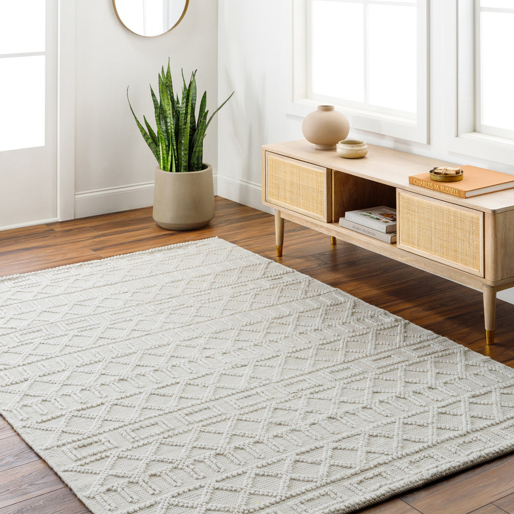 Daffodil DFF-2303 9' x 12' Handmade Rug DFF2303-912  Beige, Ivory Surya