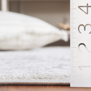 Safavieh Diamond Traditional Ivory & Grey Area Rug – 5'3" X 7'6" – Elegant, Durable, Power-loomed Design Ivory ,Grey Polyester Dia152a-5