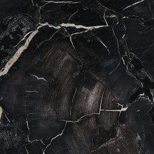 Karina Living Darnell Coffee Table – Unique Natural Petrified Wood & Metal Design for Modern Living Spaces DOV22030-NABK-LG