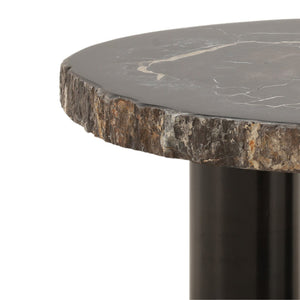 Karina Living Darnell Coffee Table – Unique Natural Petrified Wood & Metal Design for Modern Living Spaces DOV22030-NABK-LG