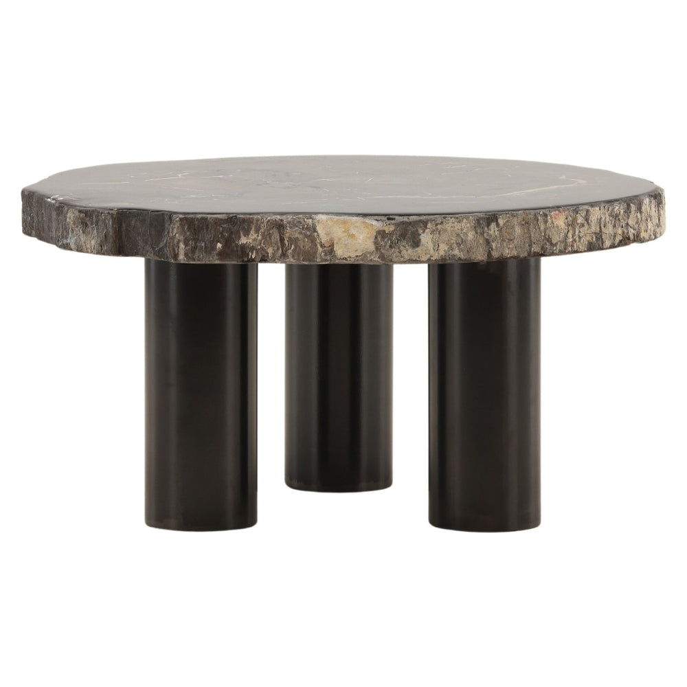 Karina Living Darnell Coffee Table – Unique Natural Petrified Wood & Metal Design for Modern Living Spaces DOV22030-NABK-LG