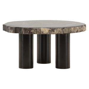 Karina Living Darnell Coffee Table – Unique Natural Petrified Wood & Metal Design for Modern Living Spaces DOV22030-NABK-LG