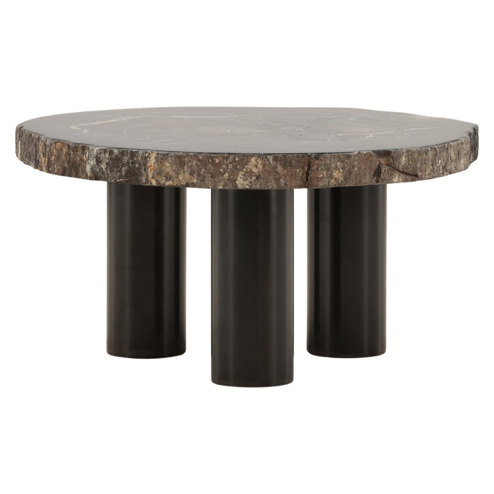 Karina Living Darnell Coffee Table – Unique Natural Petrified Wood & Metal Design for Modern Living Spaces DOV22030-NABK-LG