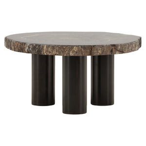 Karina Living Darnell Coffee Table – Unique Natural Petrified Wood & Metal Design for Modern Living Spaces DOV22030-NABK-LG