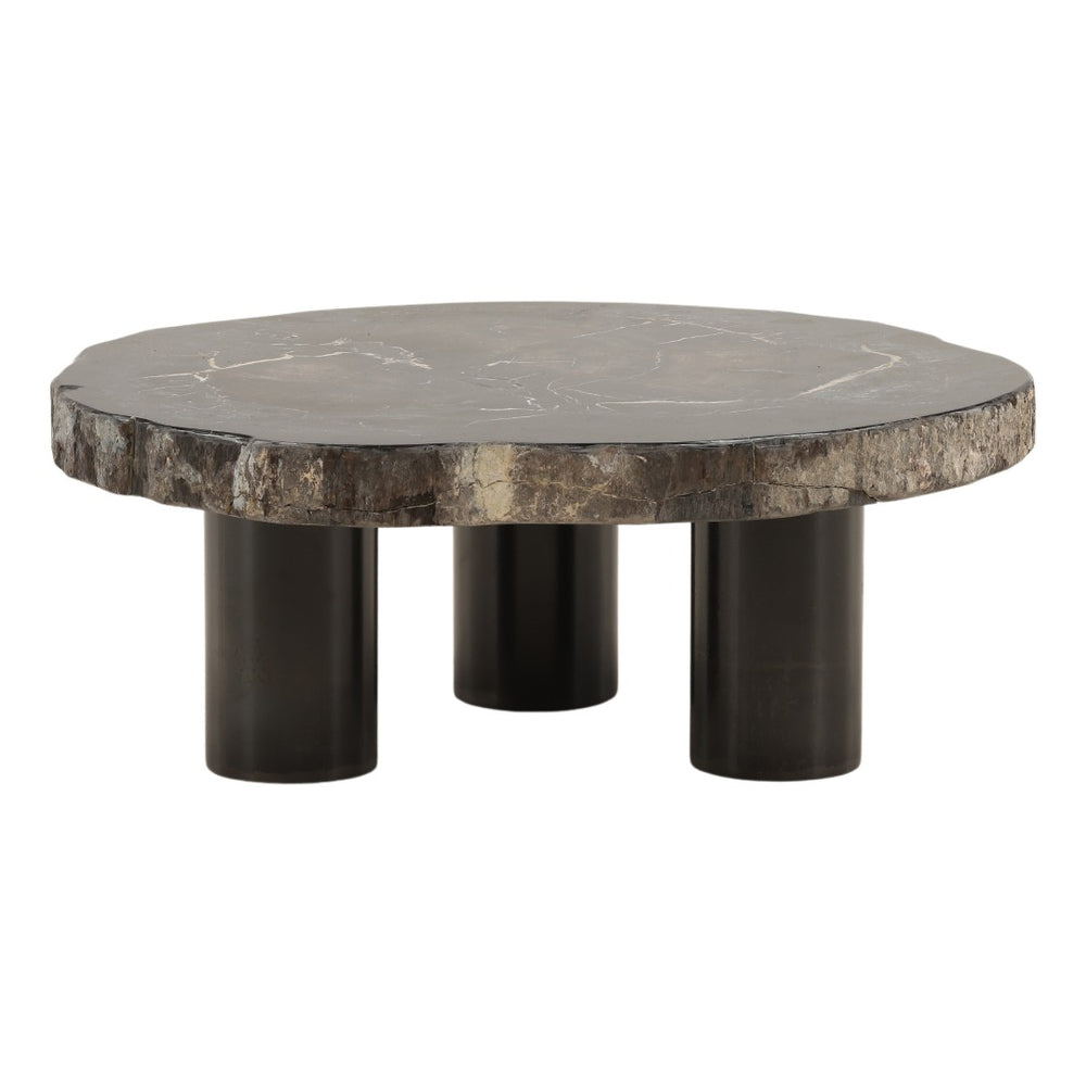 Karina Living Darnell Coffee Table - Unique Natural Petrified Wood & Sleek Black Metal Base for Modern Spaces DOV22030-NABK-SM