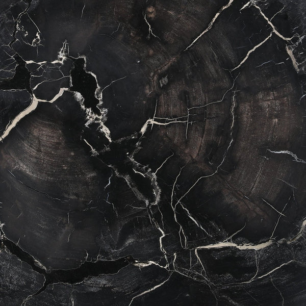 Karina Living Darnell Coffee Table - Unique Natural Petrified Wood & Sleek Black Metal Base for Modern Spaces DOV22030-NABK-SM