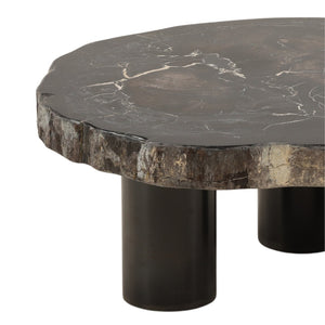 Karina Living Darnell Coffee Table - Unique Natural Petrified Wood & Sleek Black Metal Base for Modern Spaces DOV22030-NABK-SM