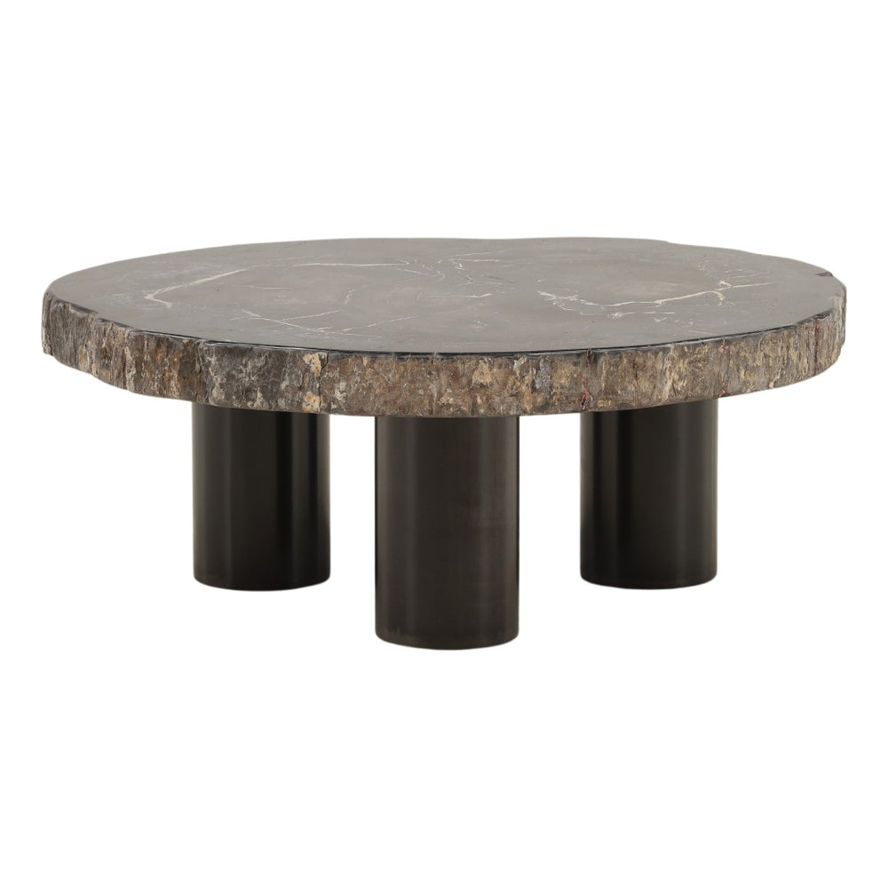 Karina Living Darnell Coffee Table - Unique Natural Petrified Wood & Sleek Black Metal Base for Modern Spaces DOV22030-NABK-SM